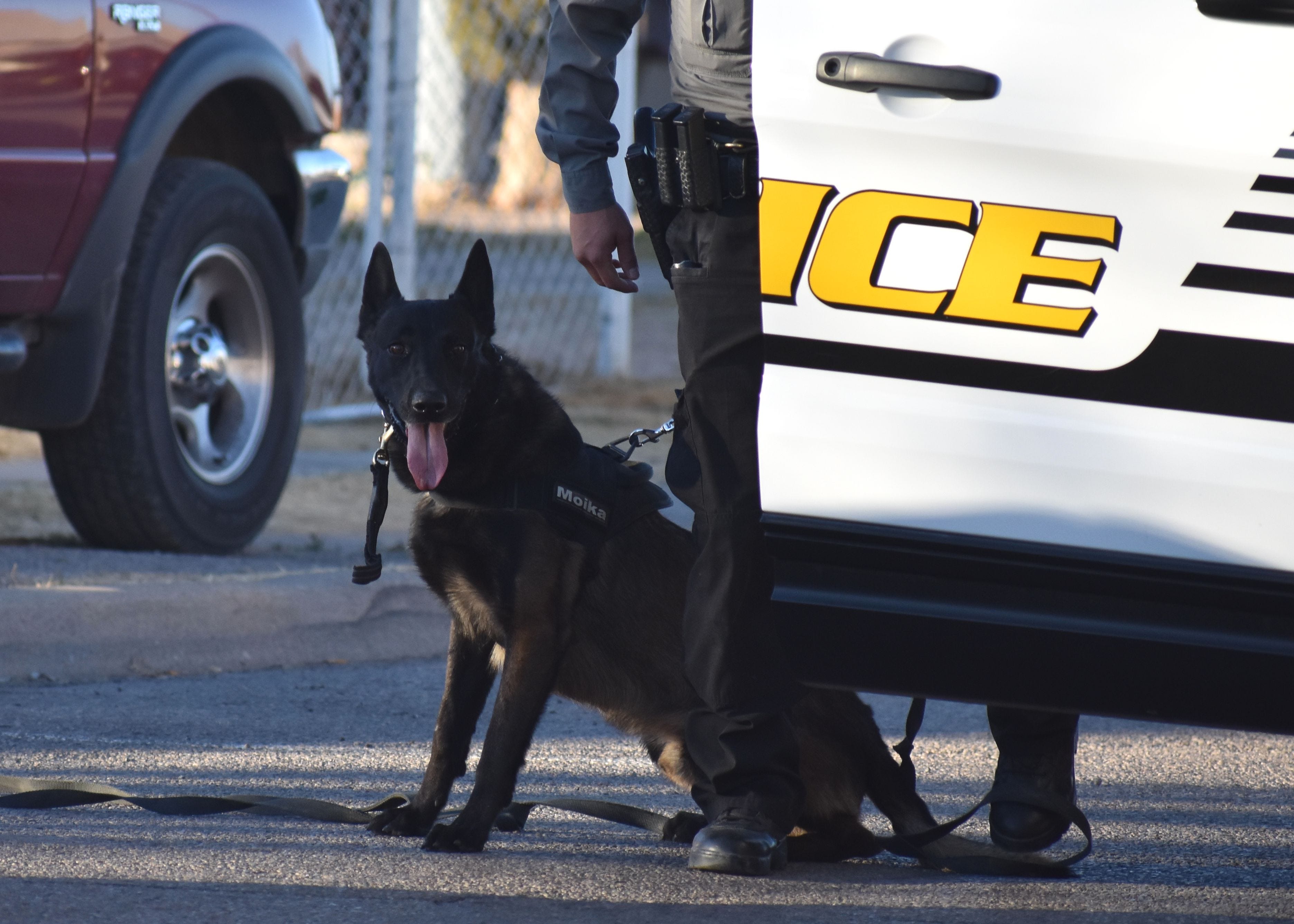apd k9 unit